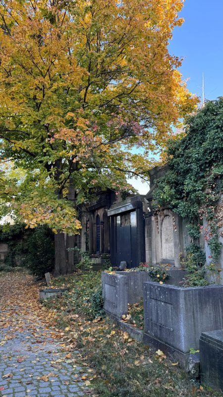 Zdjęcie alejki z nagrobkami na cmentarzu żydowskim