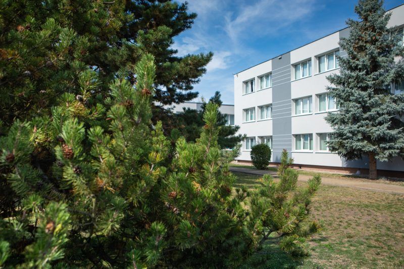 Prostokątny, trójkondygnacyjny budynek hotelowy schowany za drzewem iglastym. 