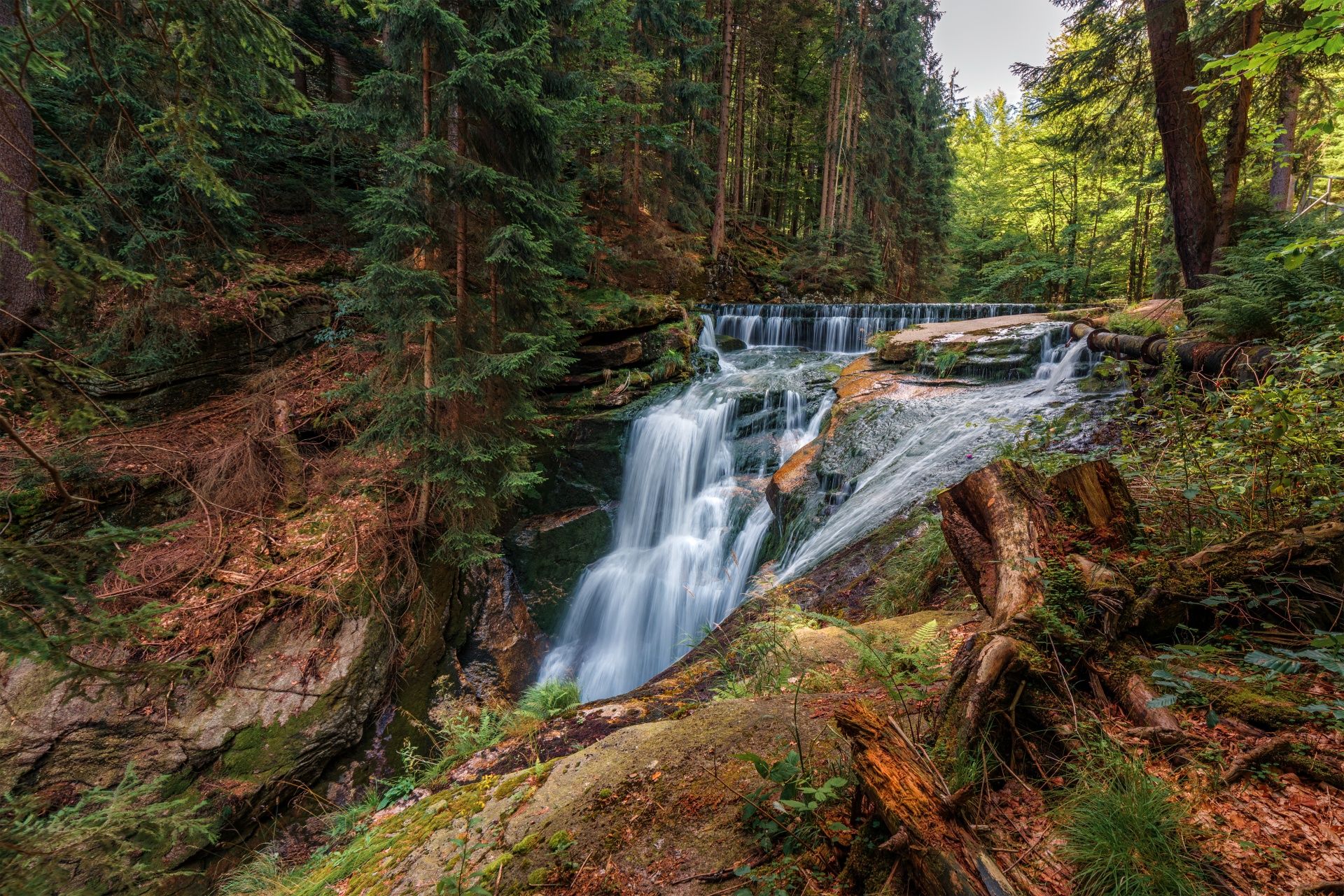 Zdjęcie kaskad wodospadu w otoczeniu bujnego lasu