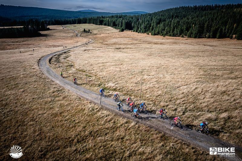 Przesuszona zieleń na polanie w Karkonoszach