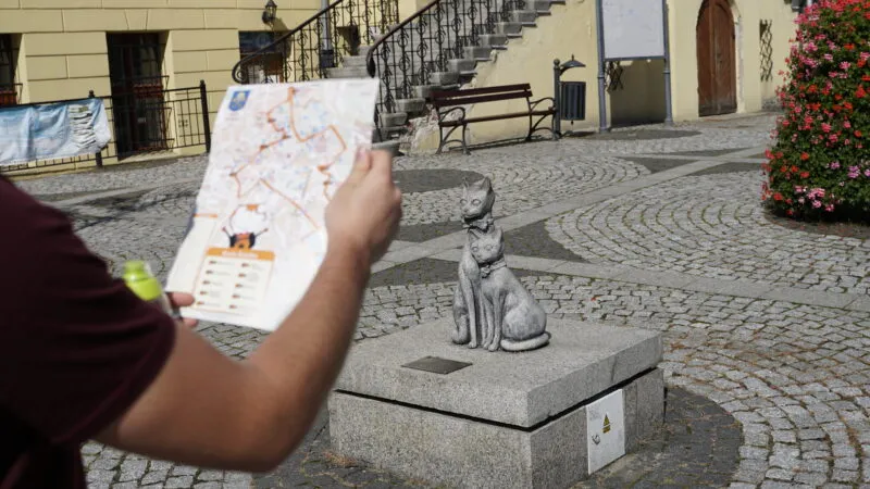 Al centro della foto si vede la sagoma di un gatto seduto su un muretto di cemento. In primo piano c'è anche il braccio di un uomo che tiene in mano una mappa con il percorso segnato. In lontananza si vedono delle scale e un'aiuola.