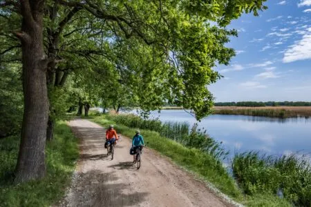 Persone in bicicletta su una strada sterrata asfaltata tra una foresta e uno specchio d'acqua